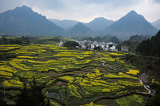 soi cầu đề