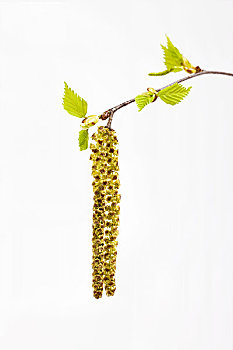 xổ số an giang tuần trước