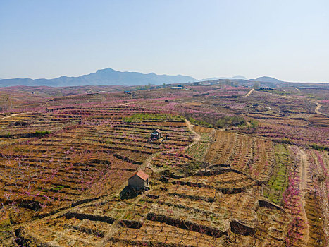 nhung cap so lau ve mien nam