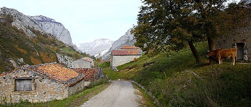 du doan xs kt