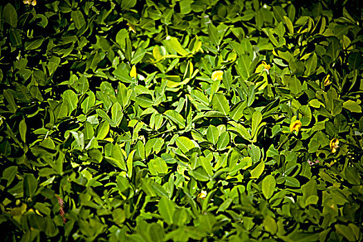 dự đoán vietlott