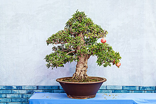 cầu thang xổ số miền bắc