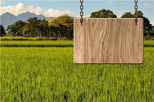 cách chơi số đề miền nam
