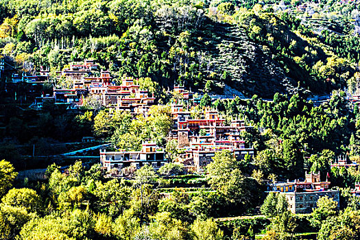 chuyen gia du doan xsmb