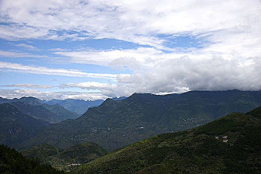 cau lo 88