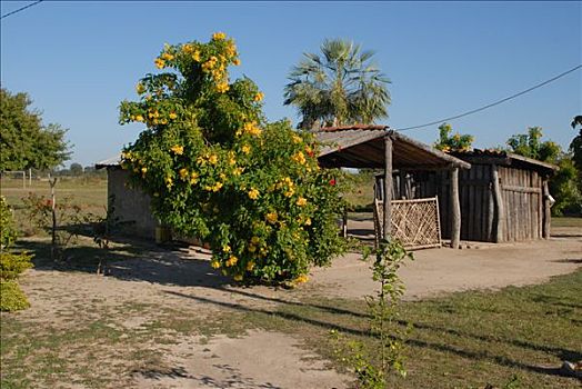lo de 247