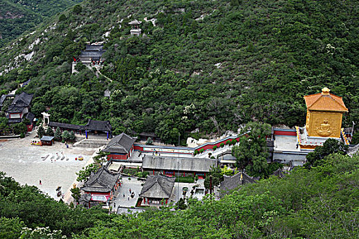 đề hôm nay con gì