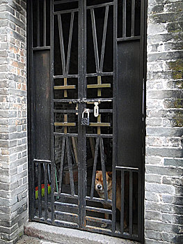 soi cầu bạch thủ 286