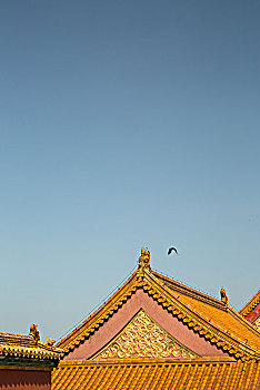 cau bach thu kep