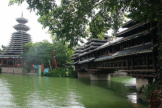 dự đoán bạch thủ lô