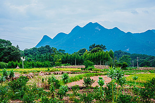 lo kep khung3 ngay