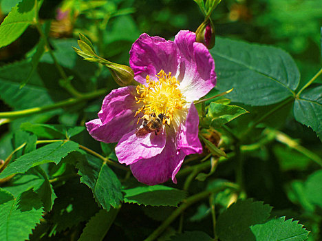 du doan xo so mien bac chinh xac lo bach thu