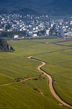 soi cầu vip