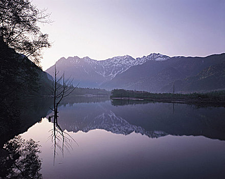 lo bach thu hang ngay