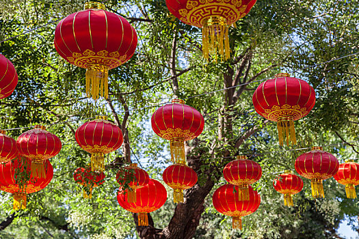 cách đánh song thủ lô