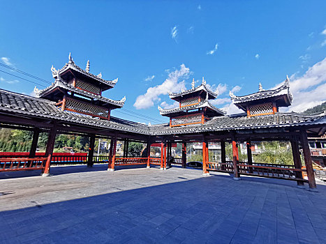 lô bach thu mien bac