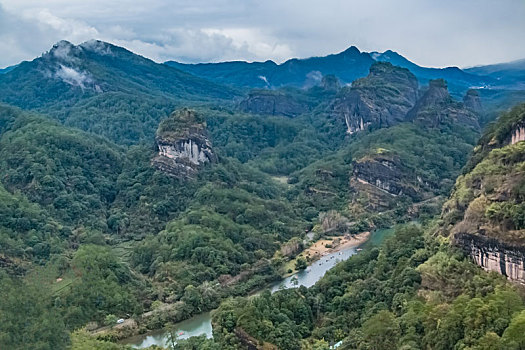 soi cau lo ve ca cap