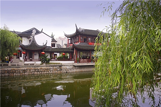 lô bạch thủ khung 5 ngày