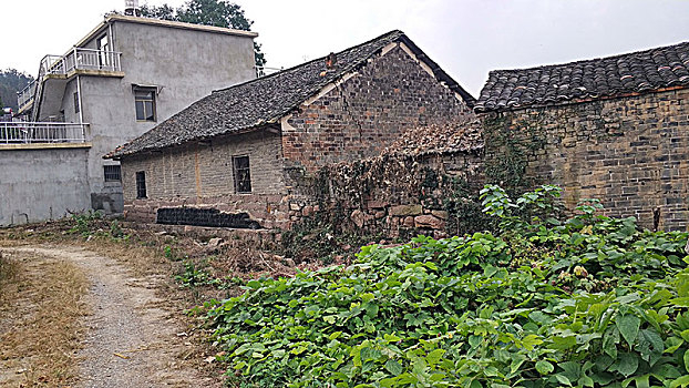 chơi lô trên mạng