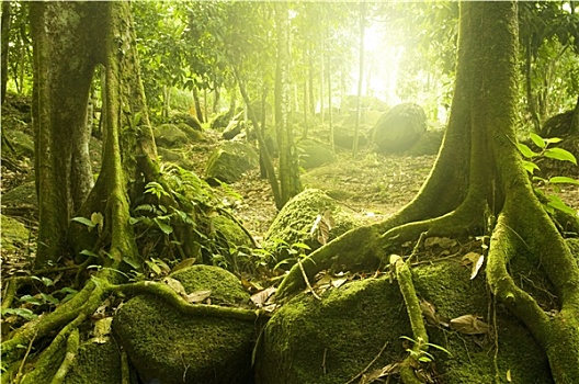 xổ số minh ngọc hôm nay