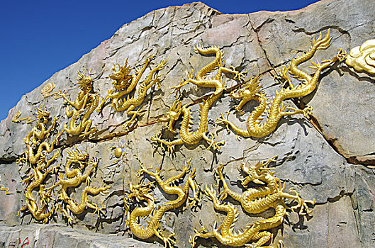 xs quangngai