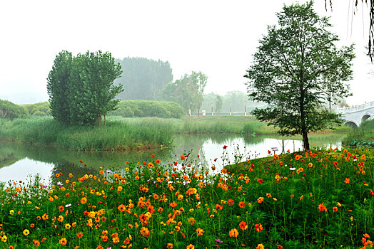 xs quang nam