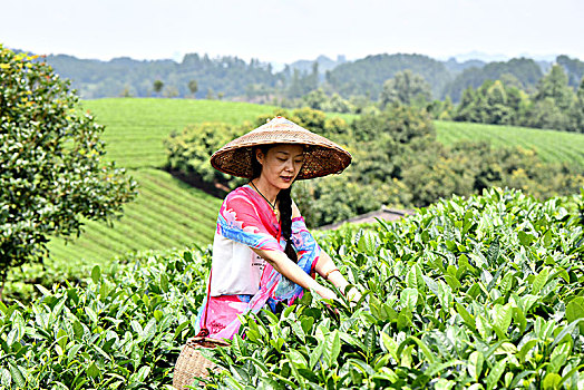 soi lô kép miễn phí