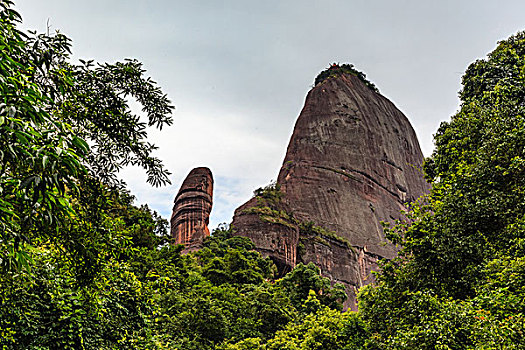 soi cau rong bach kim 247