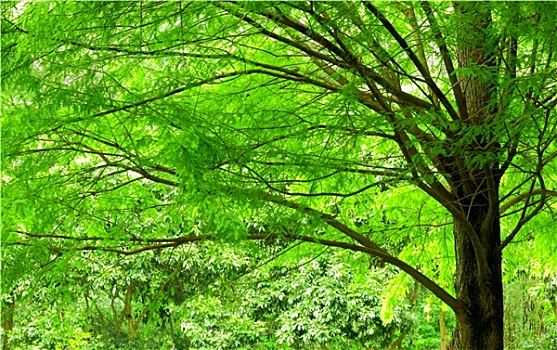 soi cầu siêu chuẩn 6886