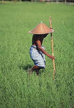 dự đoán kết quả xổ số bắc trung nam