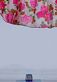 soi cau 8785