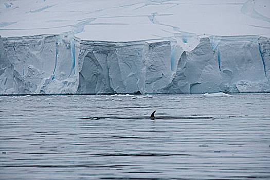 du doan xs3m