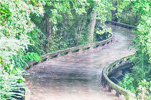 soi cau loto rong bach kim