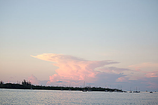soi cầu bạch thủ hôm nay