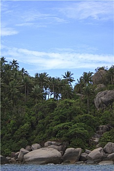 soi cau mb sieu chuan