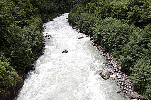 bạch thủ lô miễn phí hôm nay