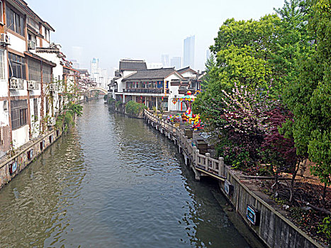 soi cau bach kim