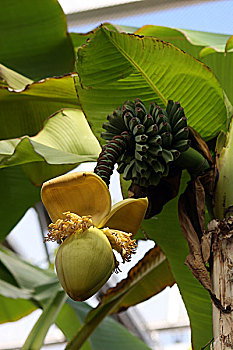 soi cầu lô