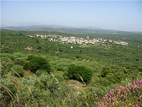 soi cầu 247