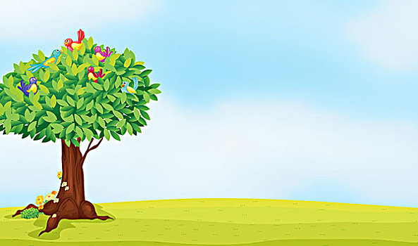 forum webxoso net
