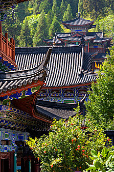 dự đoán