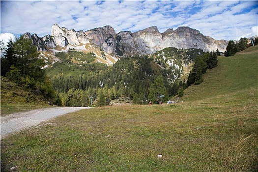 cau bach kim