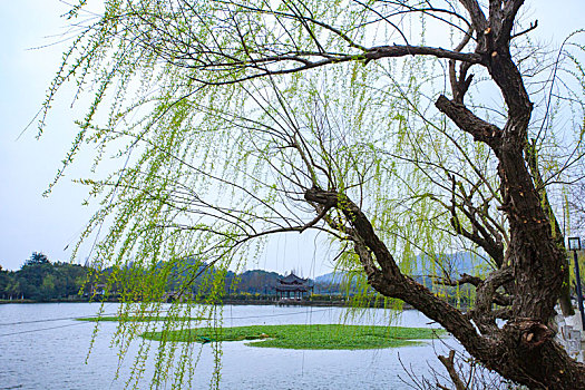 xskt tây ninh