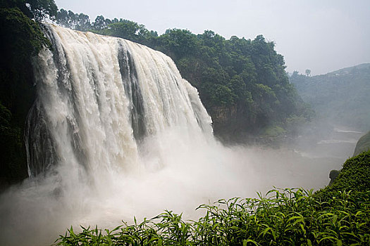 cầu bạch thủ thành phố