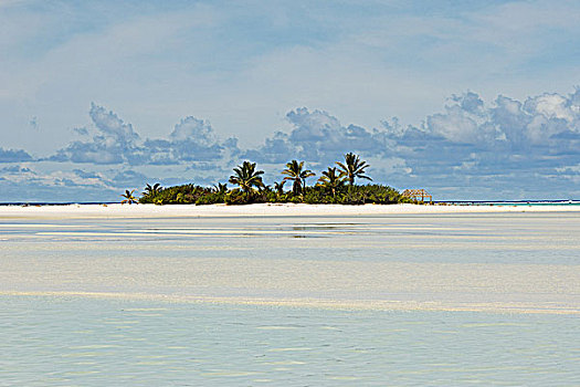 lo de gan