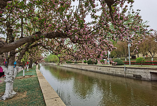 lo bach thu khung 3 ngay 247