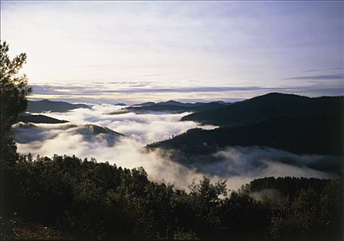 kqxs ca mau