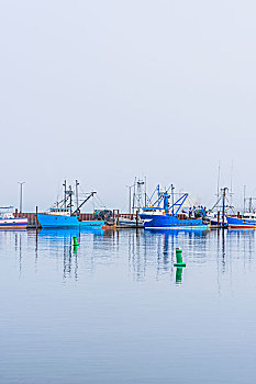 miền bắc thứ sáu