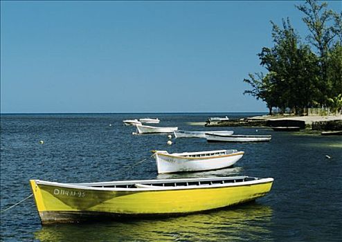 quay thử xổ số gia lai