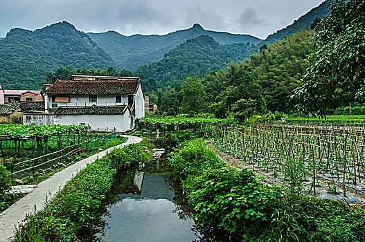 soi cầu 3 càng miễn phí